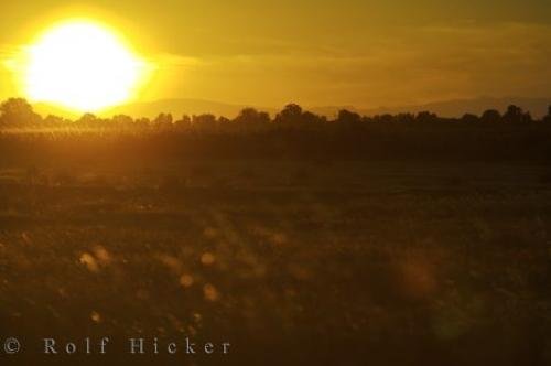 Photo: 
Camargue France Sunset Photo