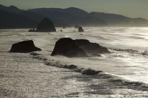 Photo: 
cannon beach