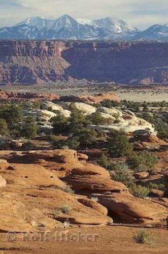 Photo: 
Canyonlands Canyon