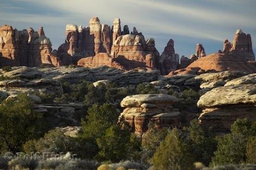 Photo: 
canyonlands needles district