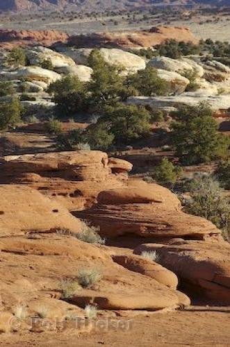 Photo: 
Canyonlands Picture