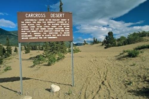 Photo: 
Carcross Desert Yukon