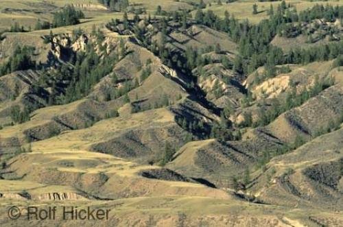 Photo: 
Cariboo Country