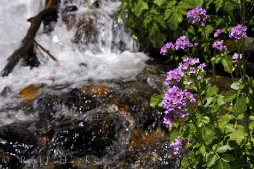 Photo: 
Catalonia Val D Aran Waterfall