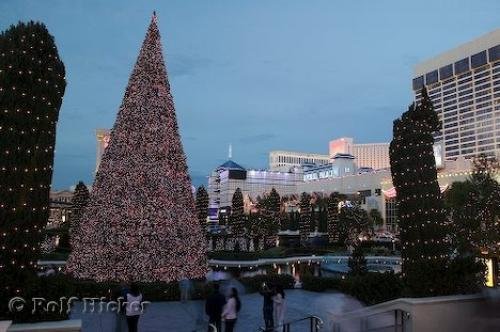 Photo: 
Christmas Las Vegas