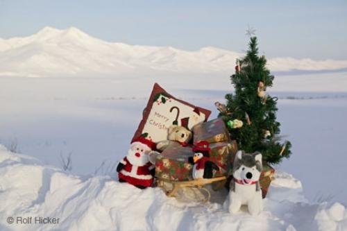 Photo: 
Christmas Winter Scenes