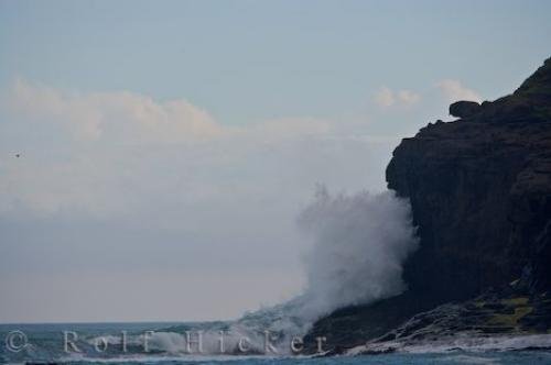 Photo: 
Coastline Curio Bay Fossil Forest New Zealand
