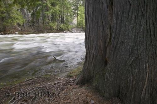 Photo: 
creek