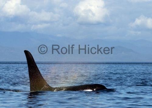 Photo: 
CRW 0013