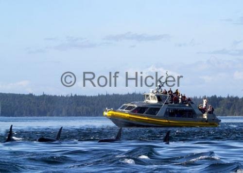 Photo: 
CRW 0049