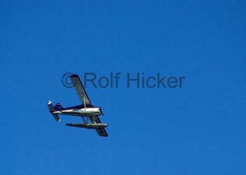Photo: 
Whale Watching Seaplane