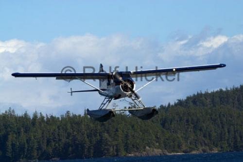 Photo: 
CRW 0260