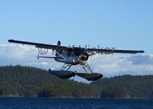 Photo: 
Beaver Airplane Photo
