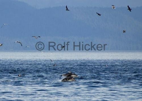 Photo: 
CRW 0306
