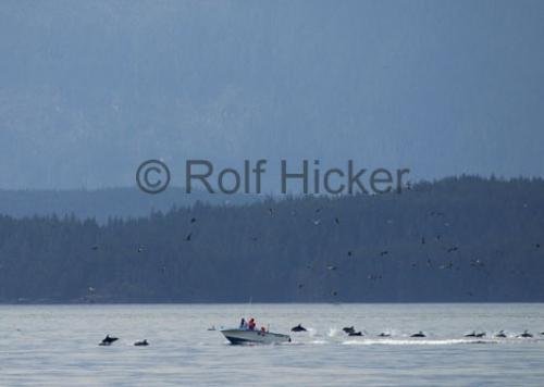 Photo: 
CRW 0343