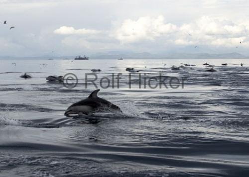 Photo: 
CRW 0425