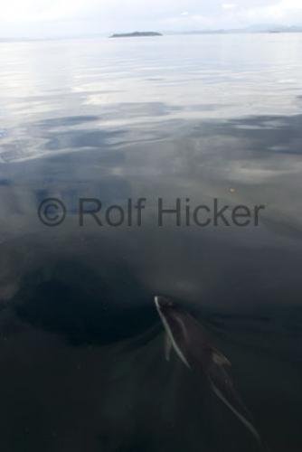 Photo: 
CRW 0533