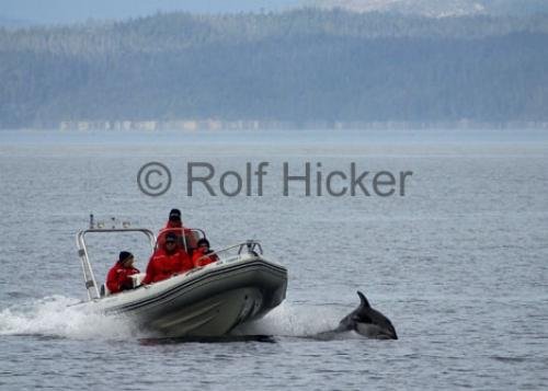 Photo: 
CRW 0555