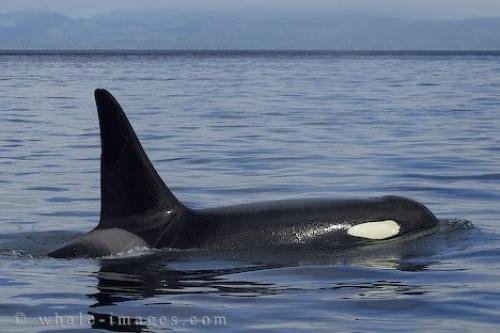 Photo: 
CRW 0571