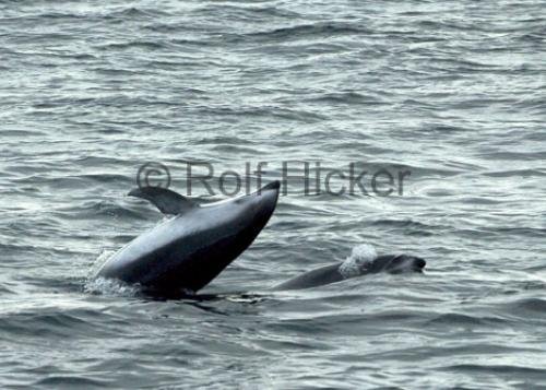 Photo: 
CRW 0692