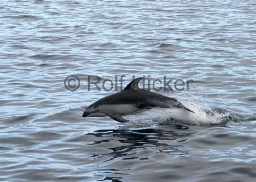 Photo: 
CRW 0696