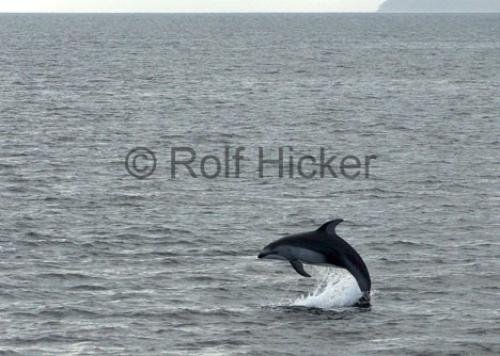 Photo: 
CRW 0697