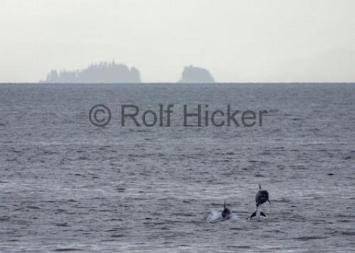 Photo: 
CRW 0716