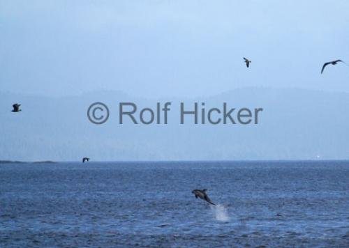 Photo: 
CRW 0719