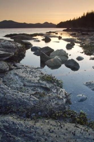 Photo: 
Ledge Point Port McNeill Bay