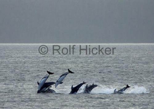 Photo: 
CRW 0732