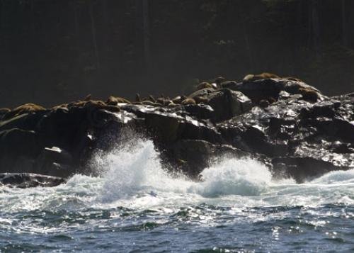 Photo: 
CRW 0758