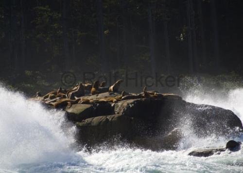 Photo: 
CRW 0779