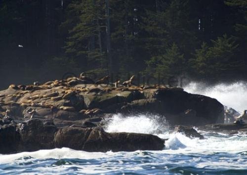 Photo: 
CRW 0784