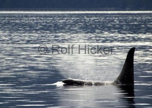 Photo: 
CRW 0979