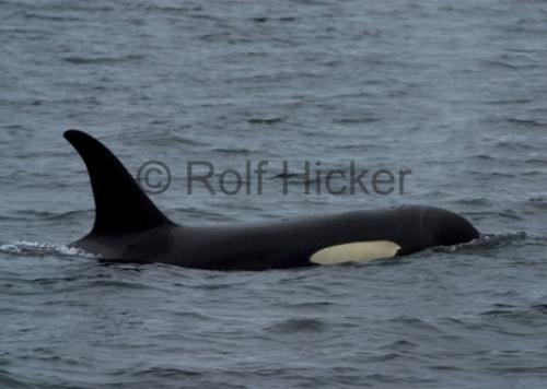 Photo: 
CRW 1124