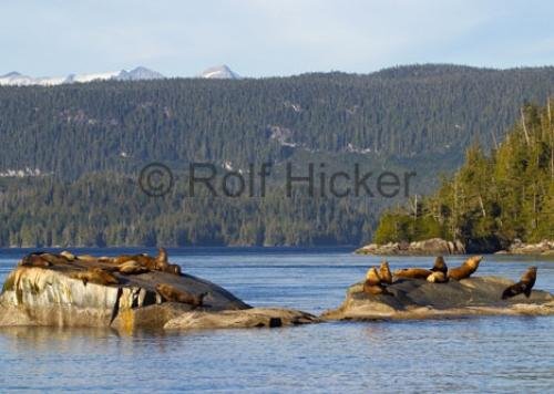 Photo: 
CRW 1373