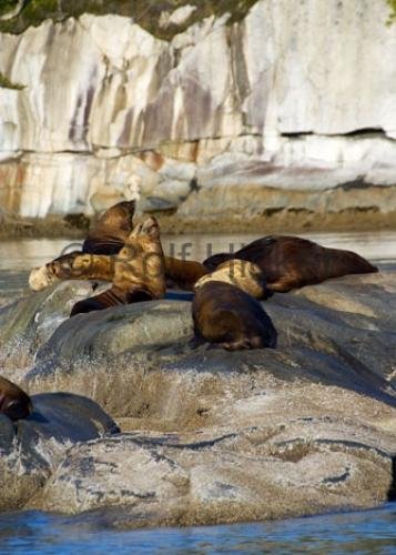 Photo: 
CRW 1381