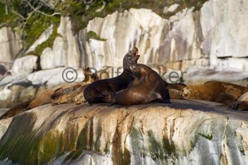 Photo: 
CRW 1387