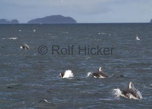 Photo: 
CRW 2150