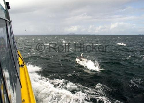 Photo: 
CRW 2174