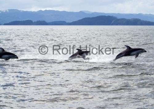 Photo: 
CRW 2319