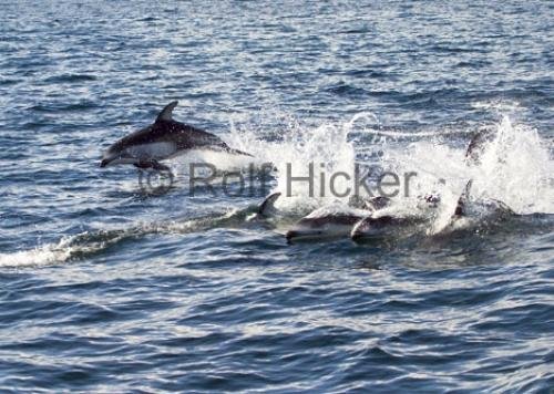 Photo: 
CRW 2374