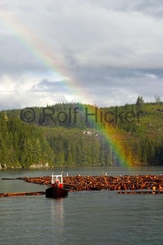 Photo: 
log sort