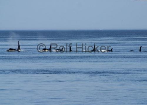 Photo: 
CRW 2476
