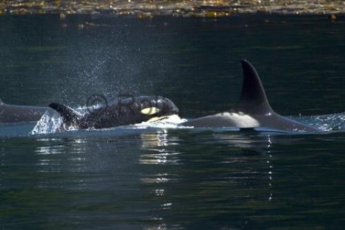 Photo: 
CRW 2723