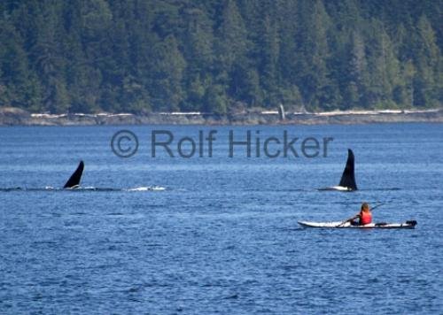 Photo: 
CRW 2810