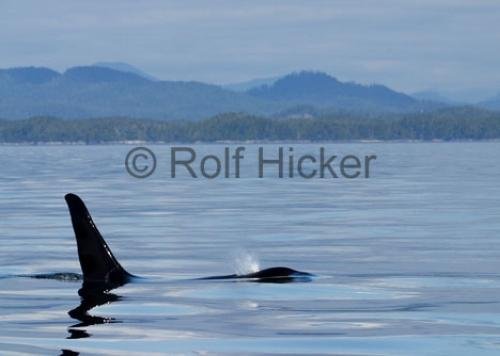Photo: 
CRW 3751