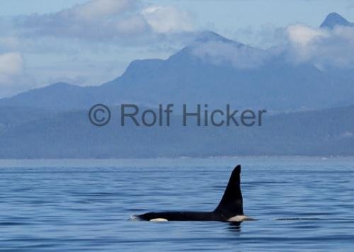 Photo: 
CRW 5670