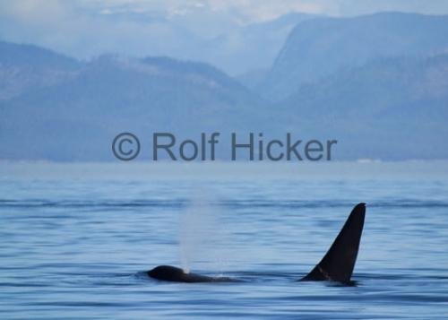 Photo: 
CRW 5680