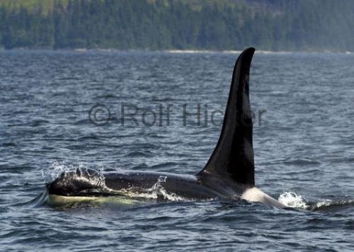 Photo: 
CRW 5724